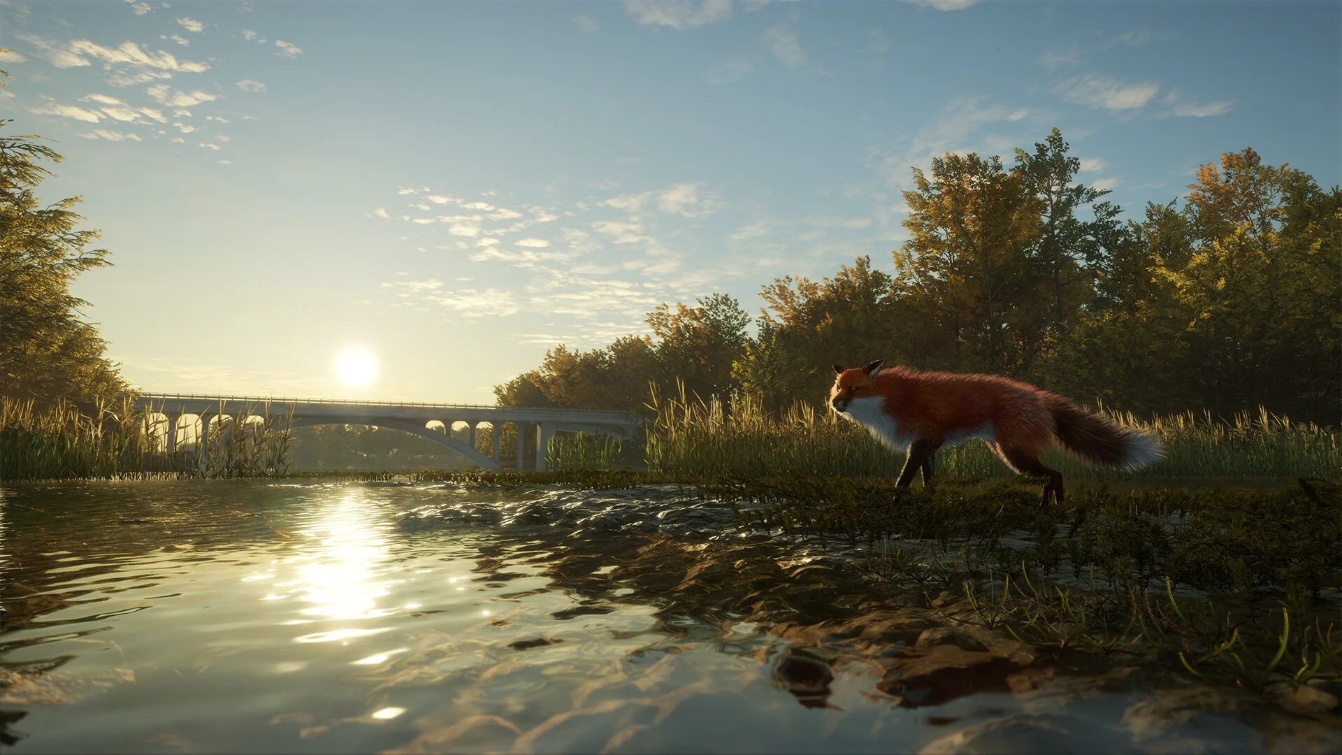 theHunter: Call of the Wild™ - Salzwiesen Park - Image 9