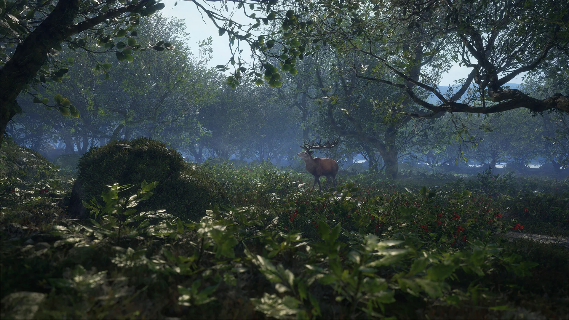 theHunter: Call of the Wild™ - Scotland Hunting Reserve - Image 16