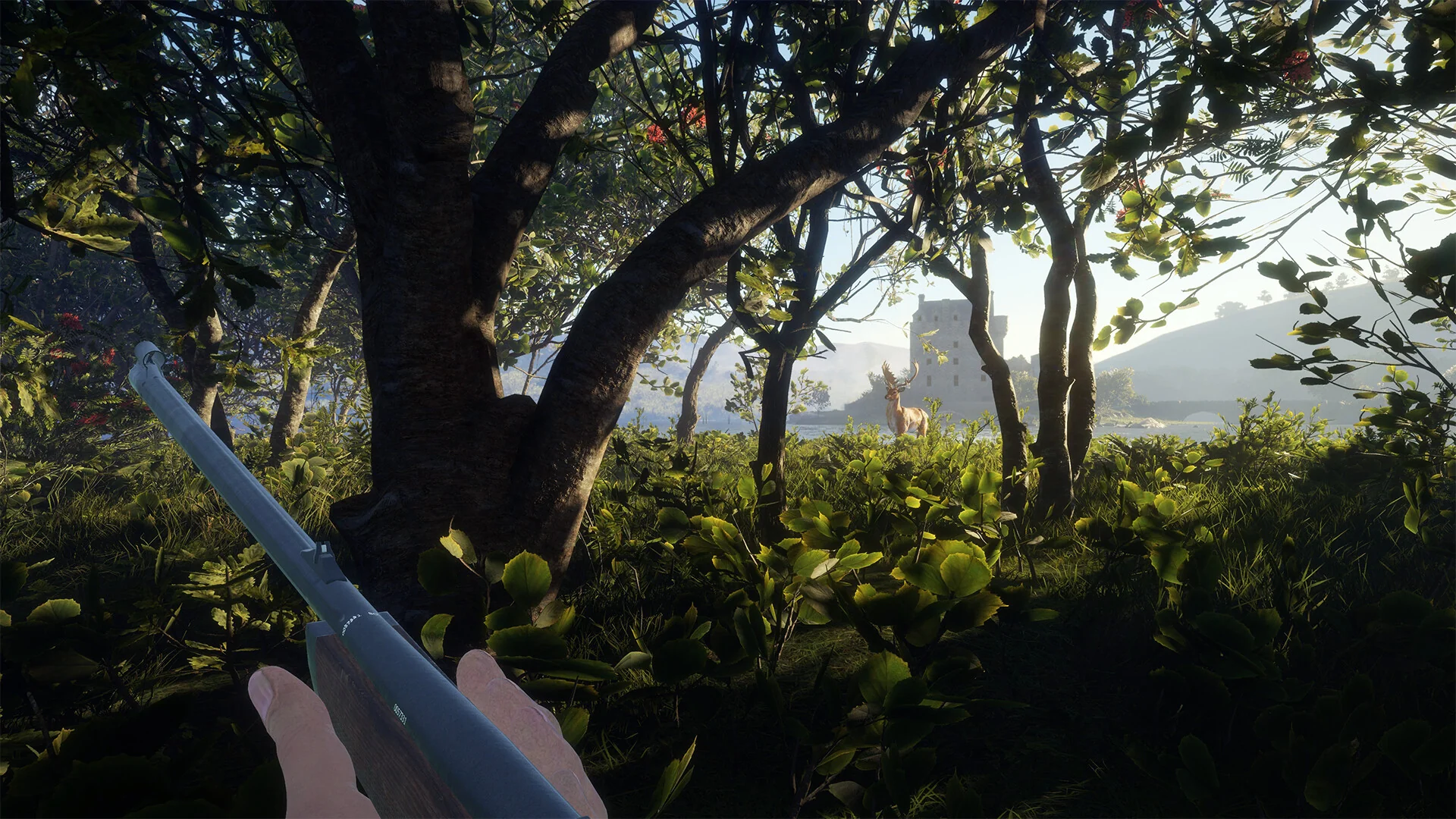 theHunter: Call of the Wild™ - Scotland Hunting Reserve - Image 19