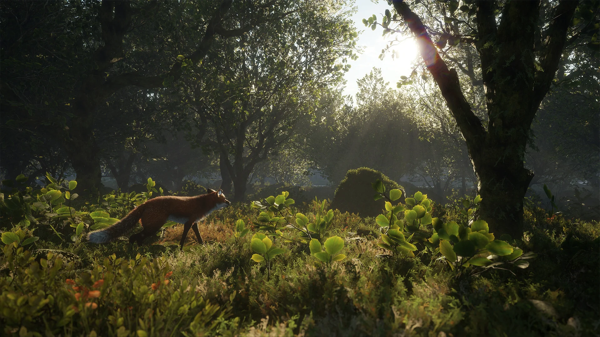 theHunter: Call of the Wild™ - Scotland Hunting Reserve - Image 7