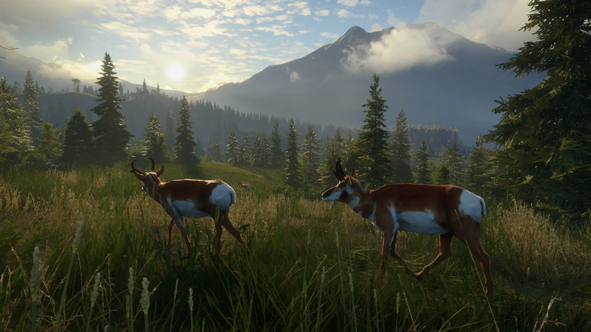 theHunter: Call of the Wild™ - Silver Ridge Peaks - Image 12