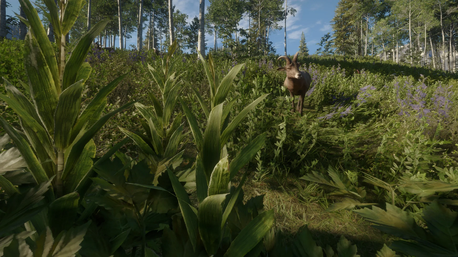 theHunter: Call of the Wild™ - Silver Ridge Peaks - Image 5