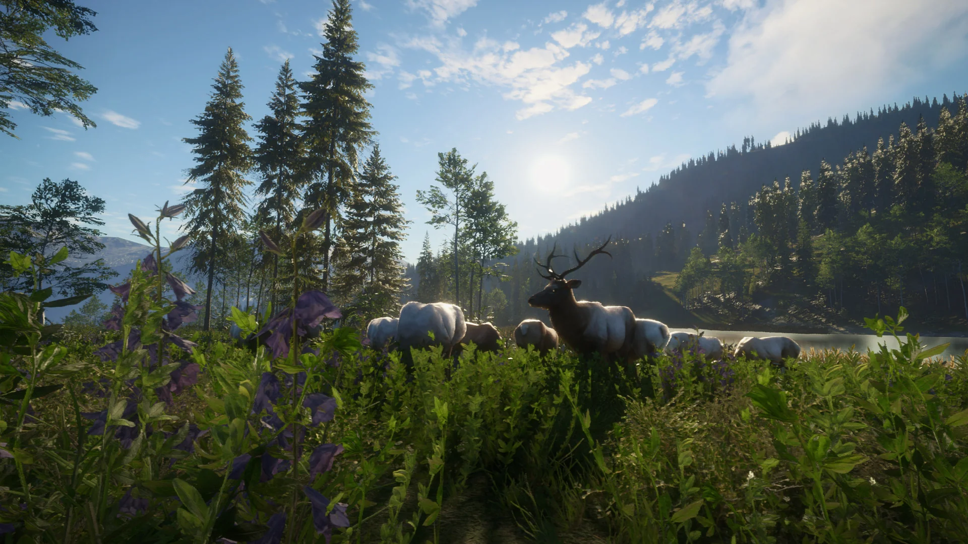 theHunter: Call of the Wild™ - Silver Ridge Peaks - Image 7