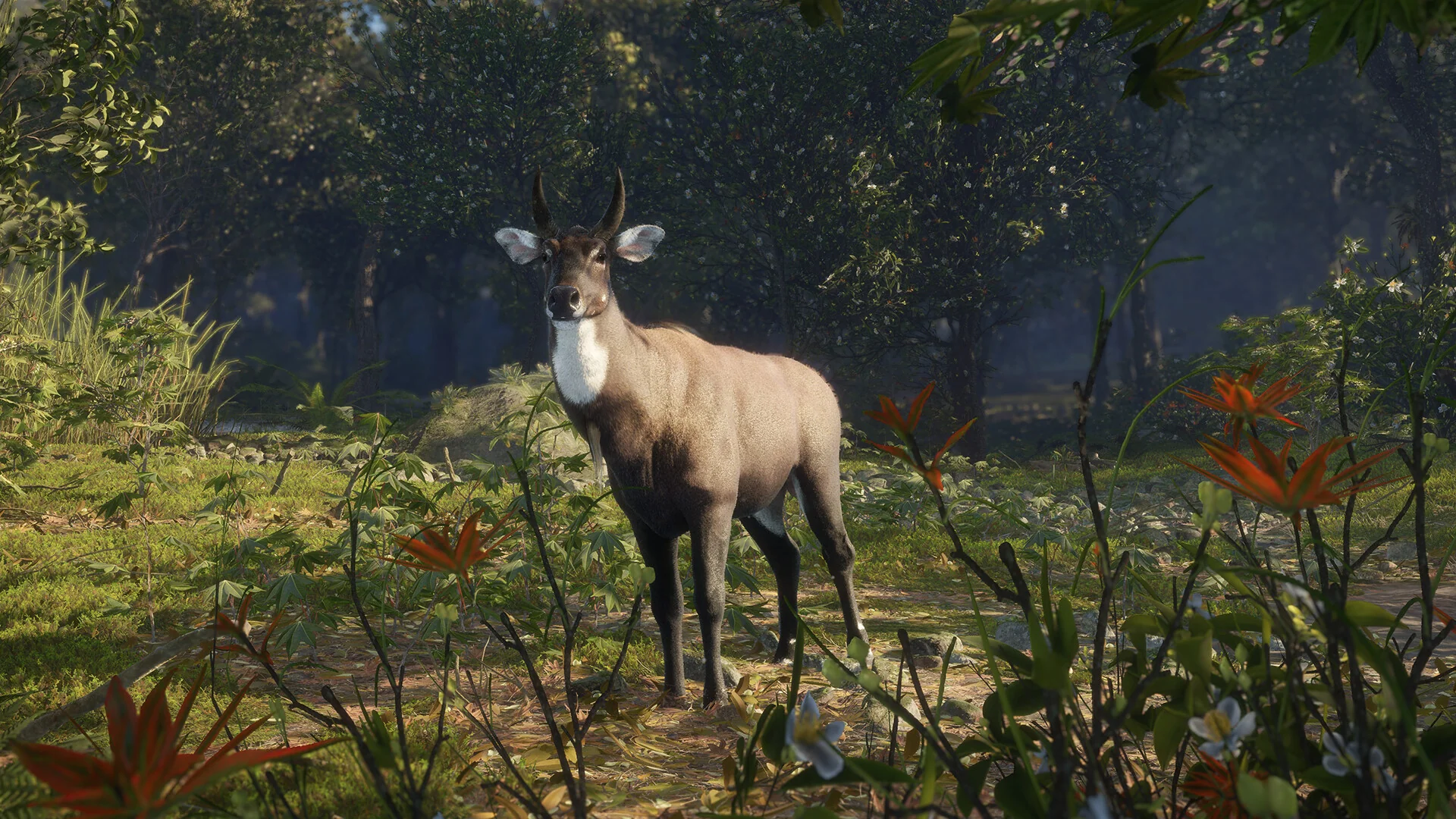 theHunter: Call of the Wild™ - Sundarpatan Nepal Hunting Reserve - Image 10