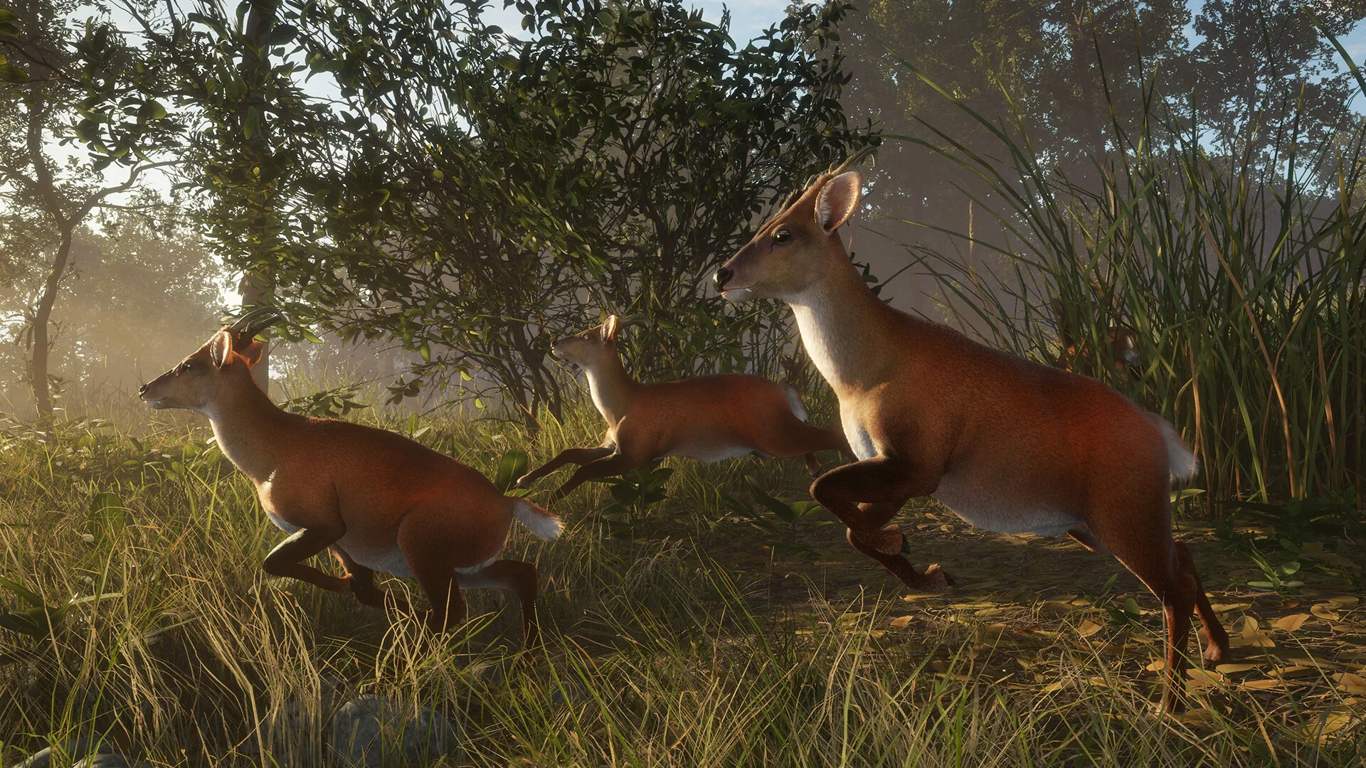 theHunter: Call of the Wild™ - Sundarpatan Nepal Hunting Reserve - Image 12