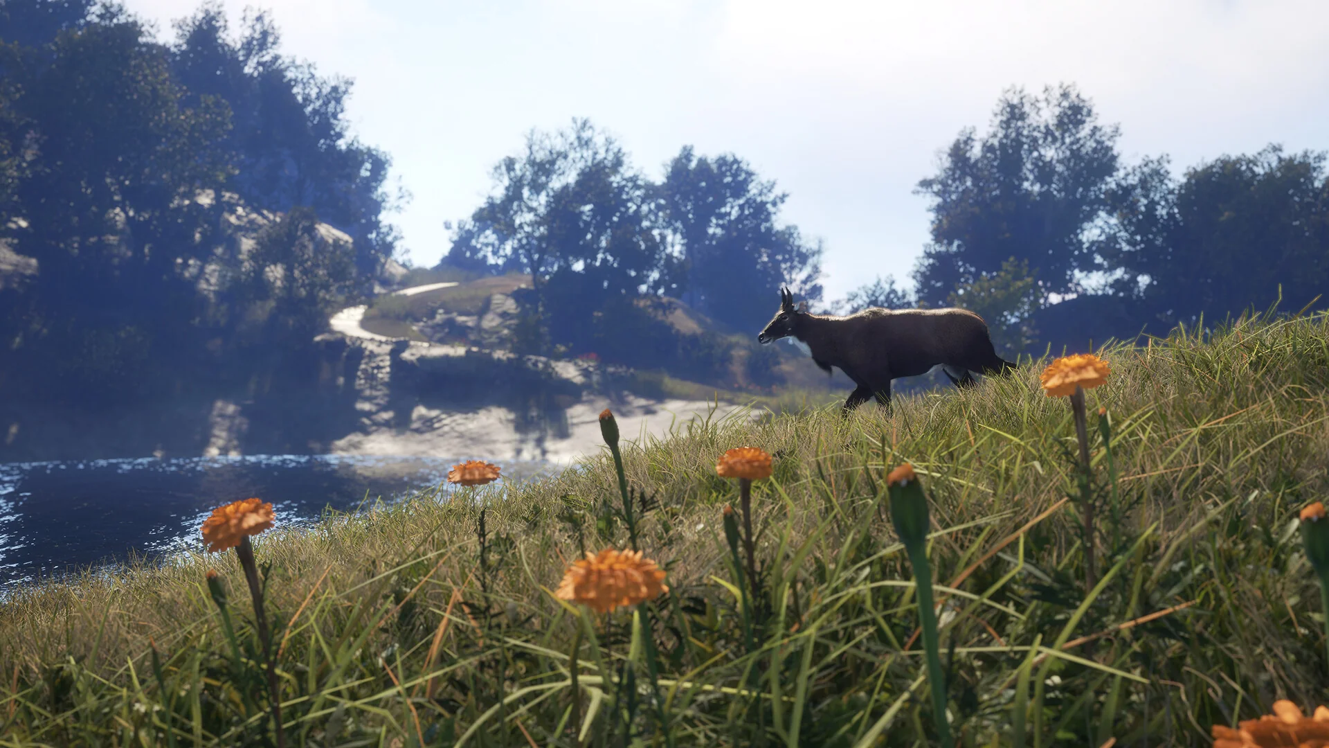 theHunter: Call of the Wild™ - Sundarpatan Nepal Hunting Reserve - Image 14