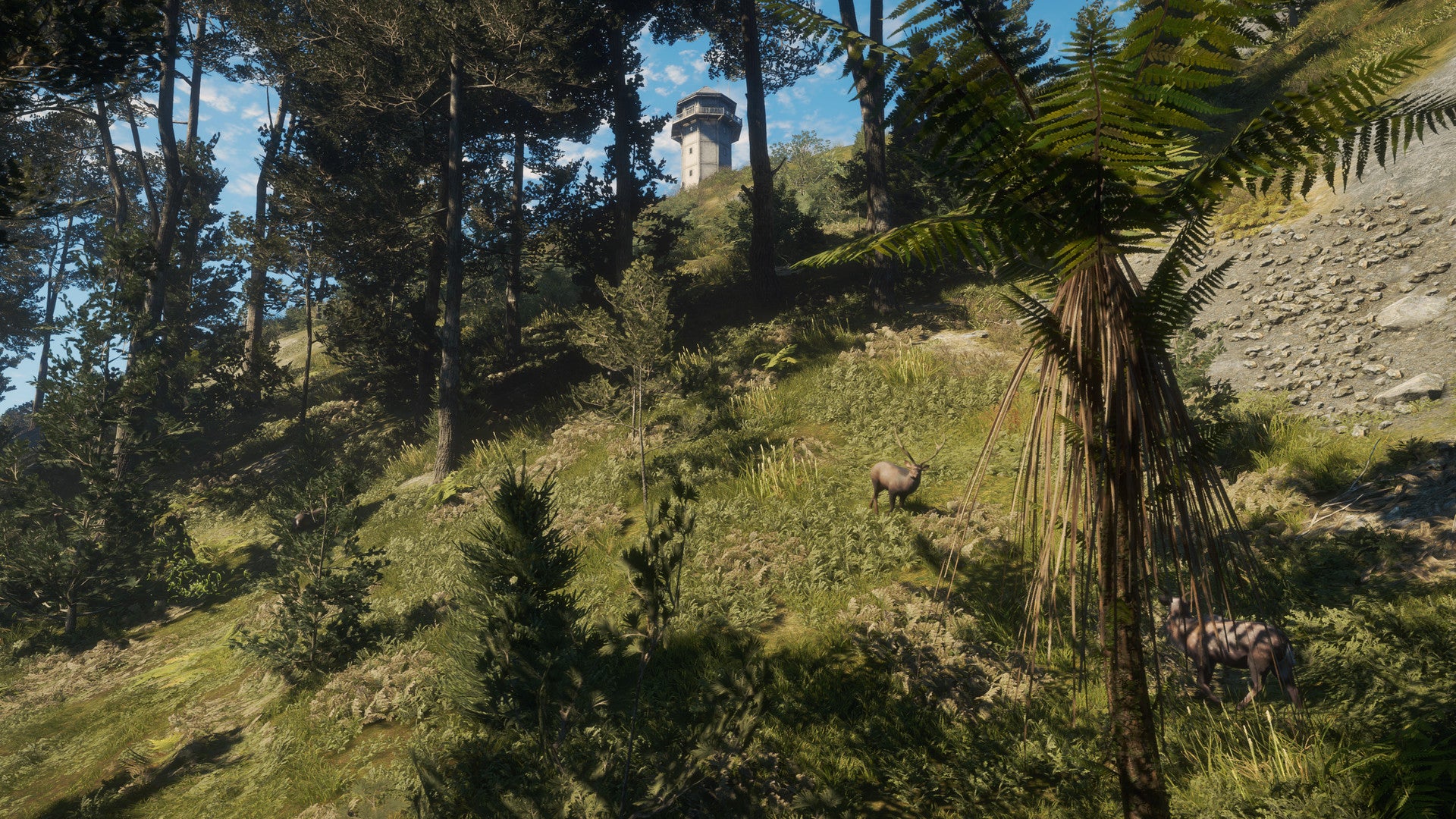 theHunter: Call of the Wild™ - Te Awaroa National Park - Image 10