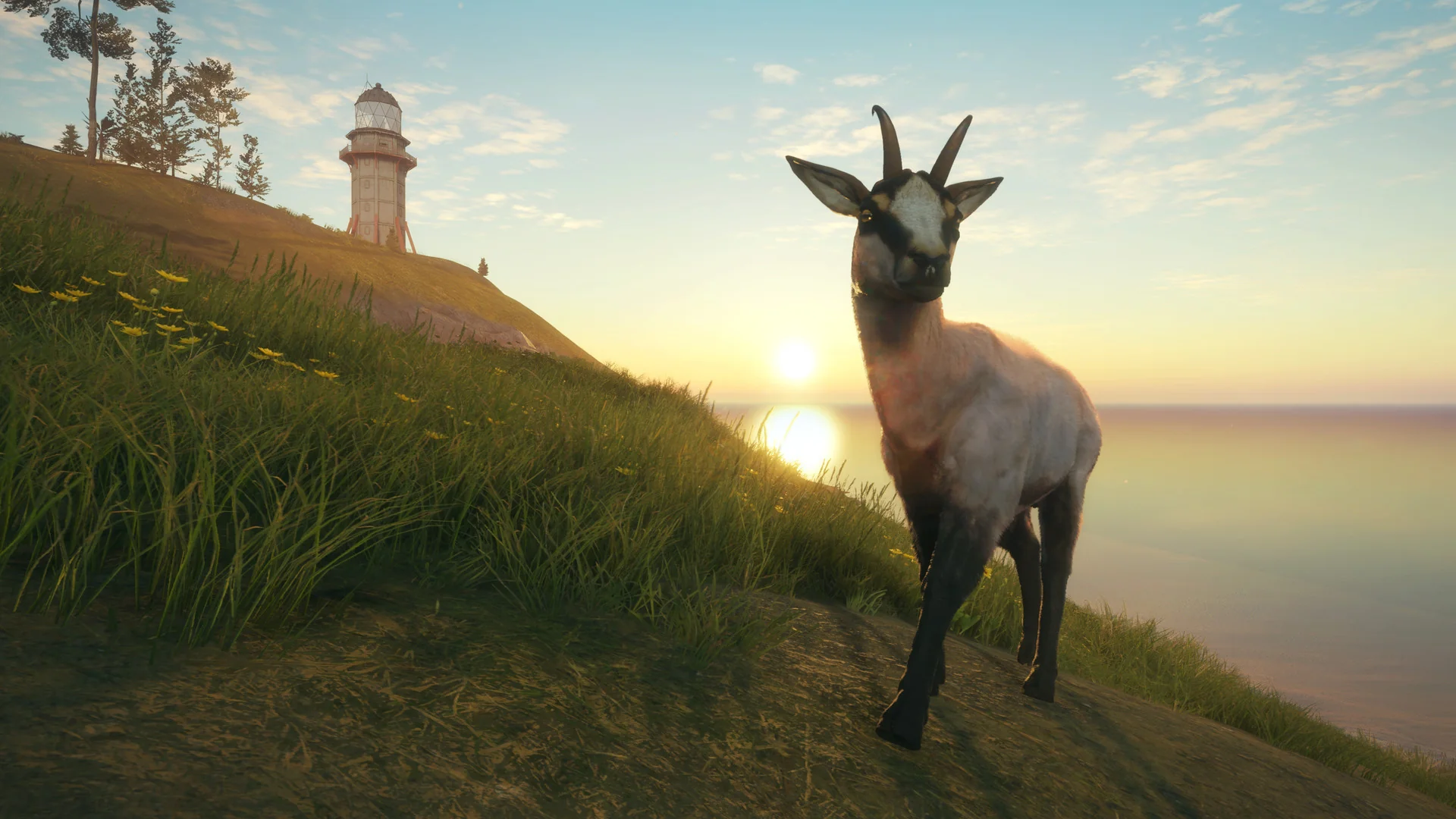 theHunter: Call of the Wild™ - Te Awaroa National Park - Image 13