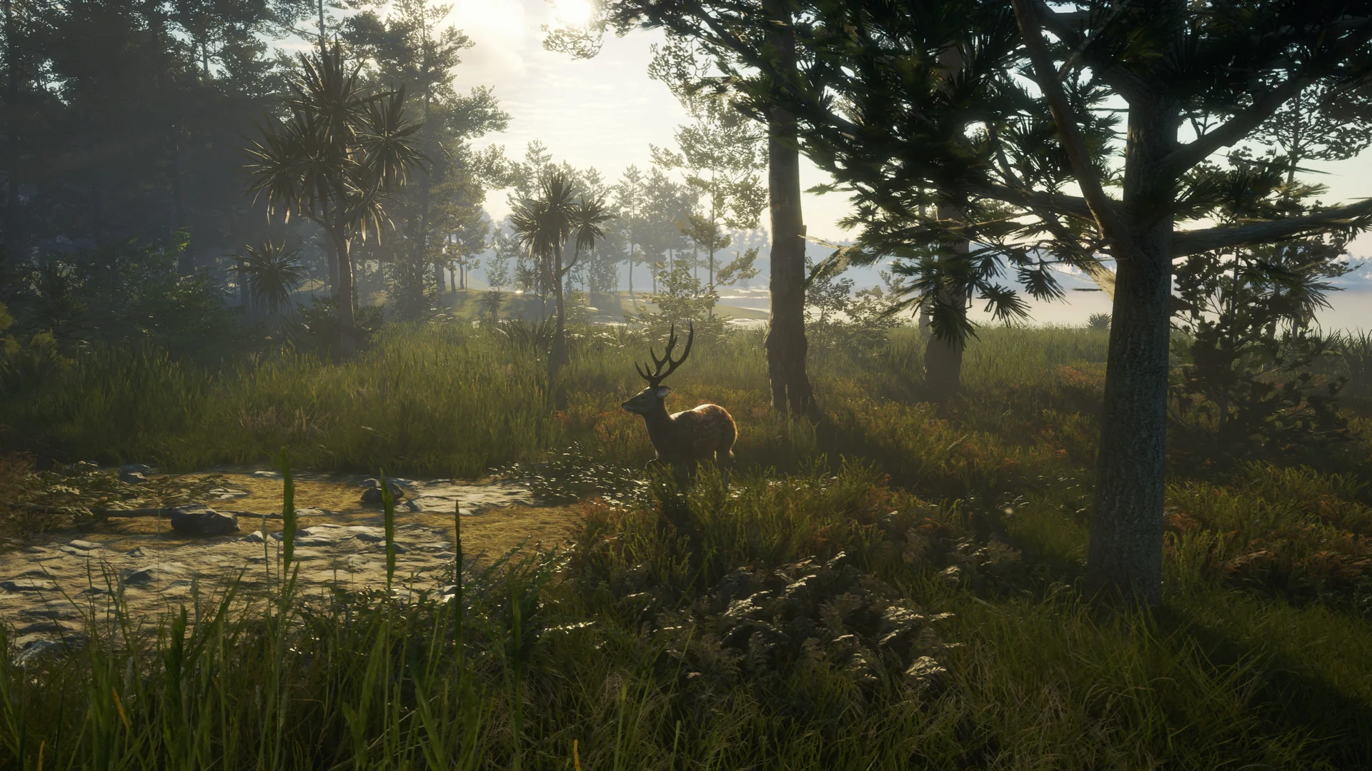 theHunter: Call of the Wild™ - Te Awaroa National Park - Image 2