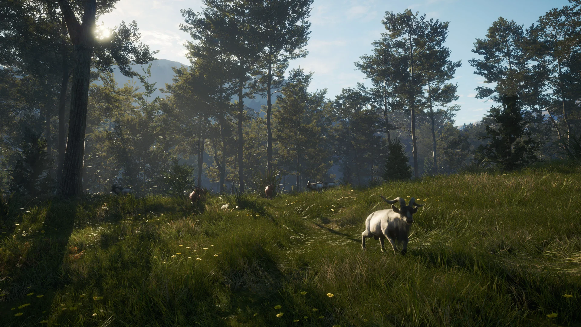 theHunter: Call of the Wild™ - Te Awaroa National Park - Image 5