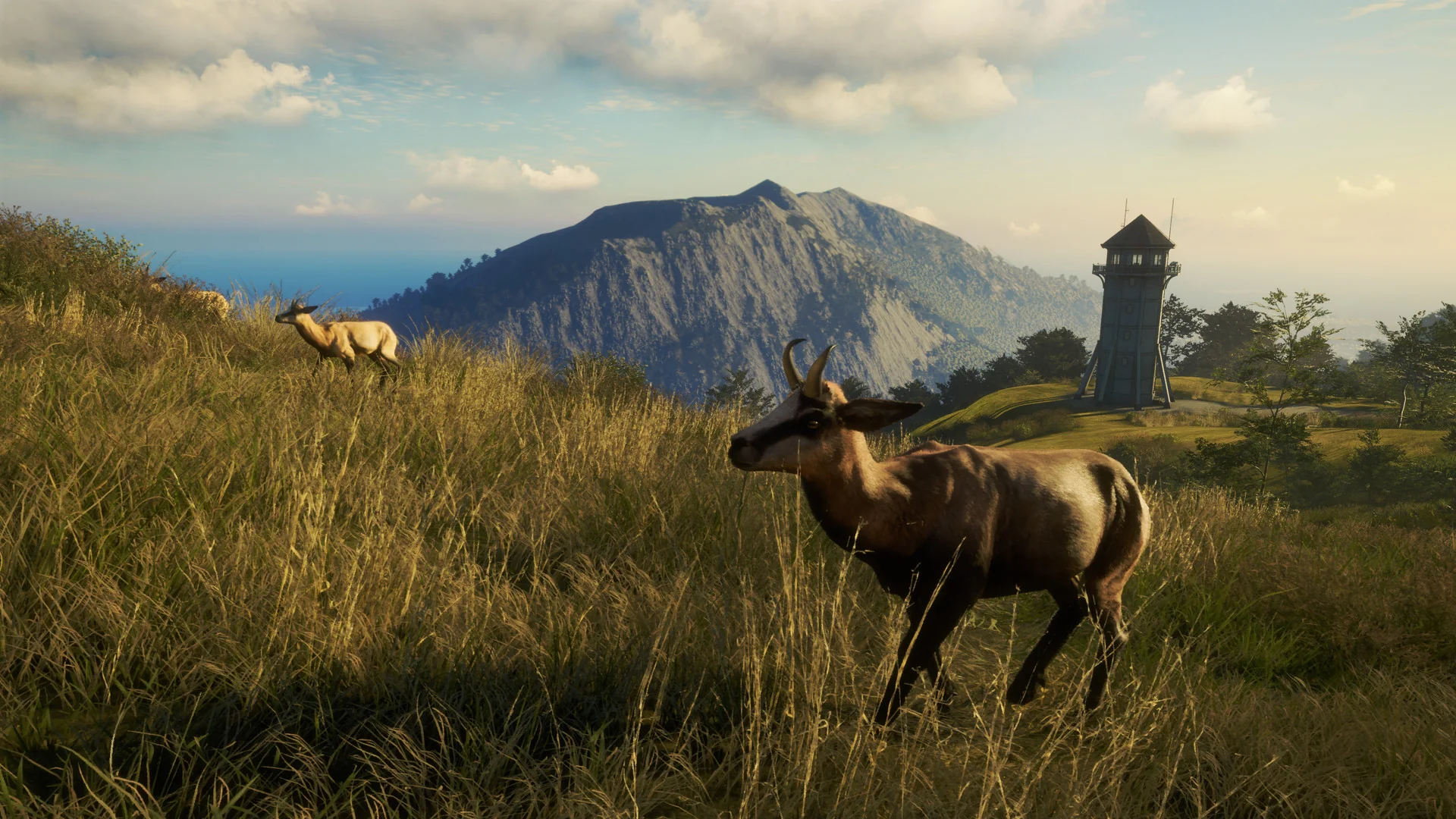 theHunter: Call of the Wild™ - Te Awaroa National Park - Image 6