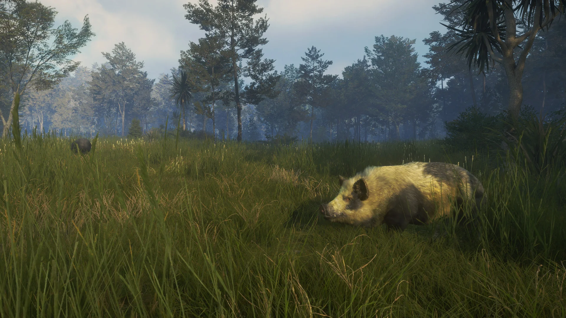 theHunter: Call of the Wild™ - Te Awaroa National Park - Image 7