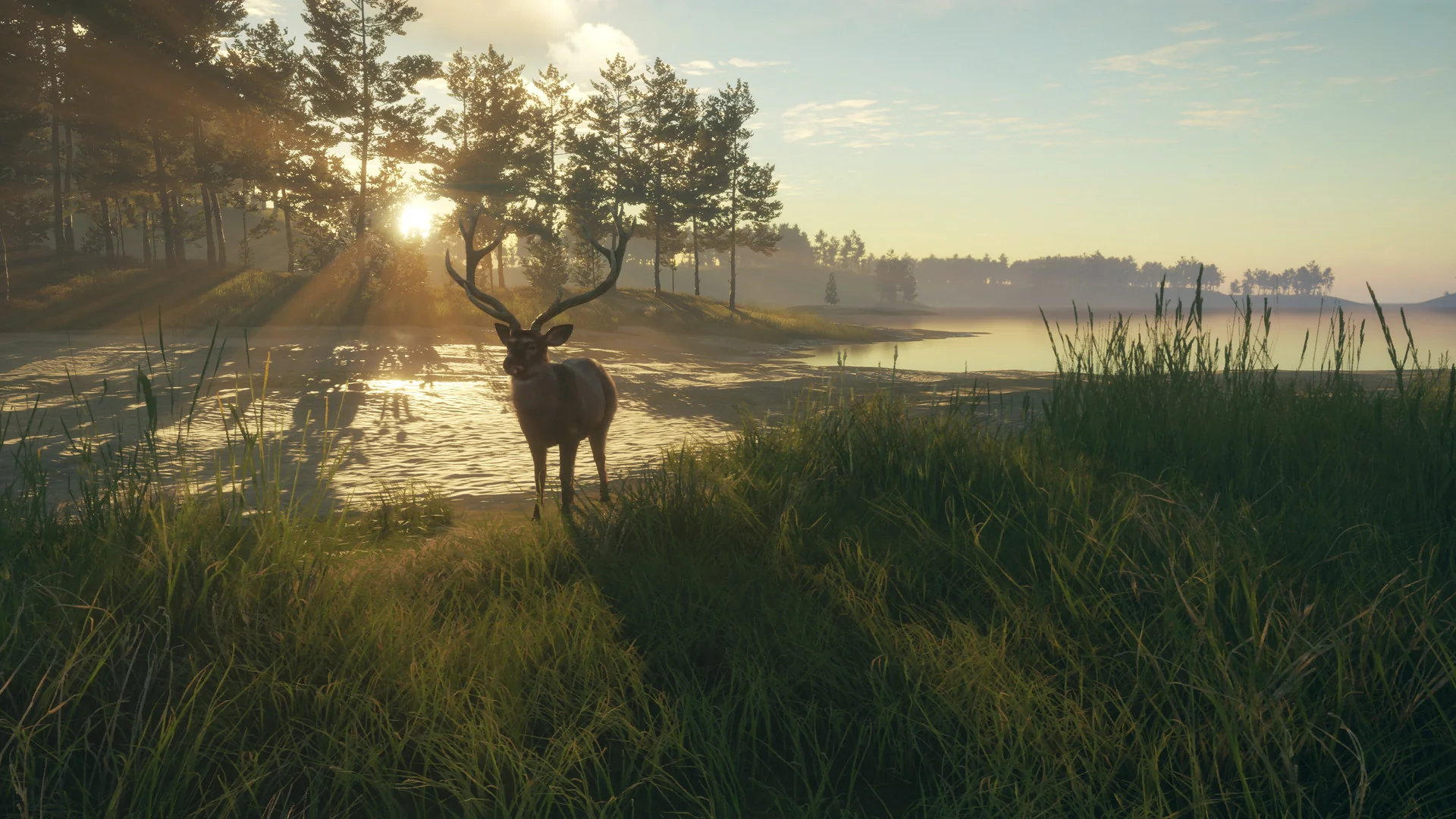 theHunter: Call of the Wild™ - Te Awaroa National Park - Image 8