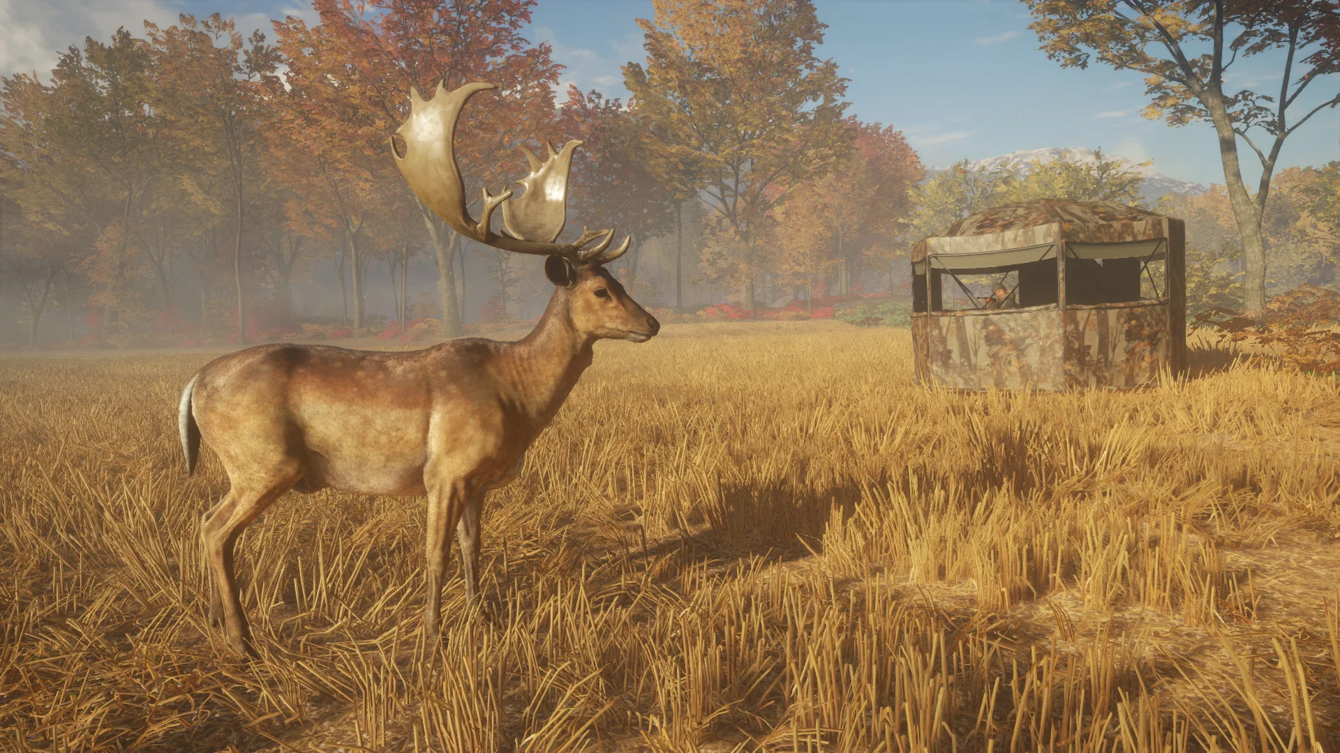 theHunter: Call of the Wild™ - Tents & Ground Blinds - Image 6