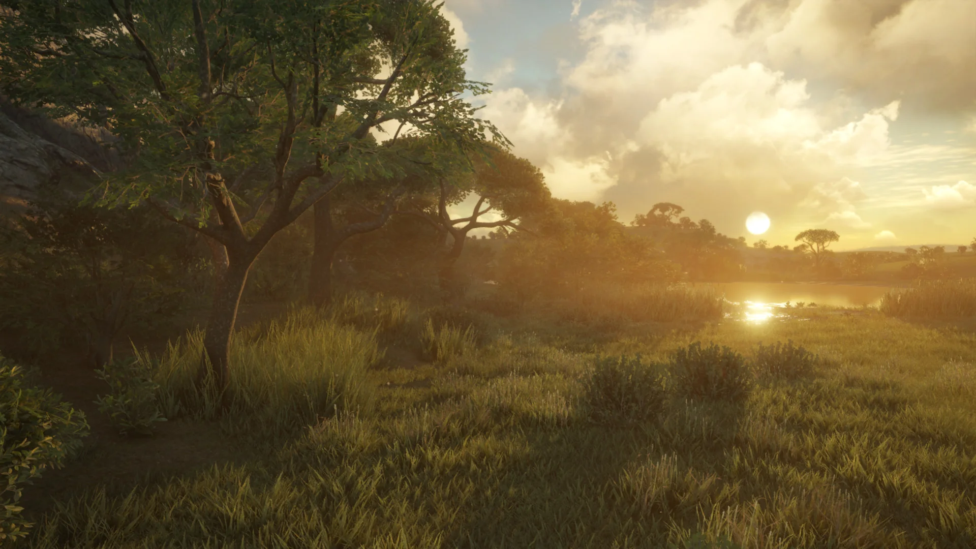 theHunter: Call of the Wild™ - Vurhonga Savanna - Image 8