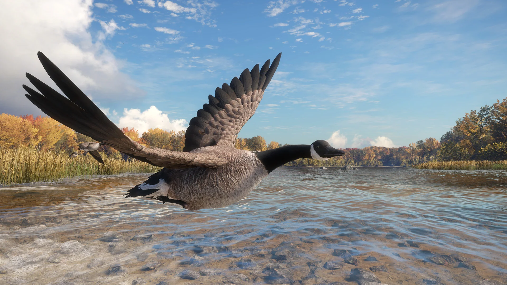 theHunter: Call of the Wild™ - Wild Goose Chase Gear - Image 9
