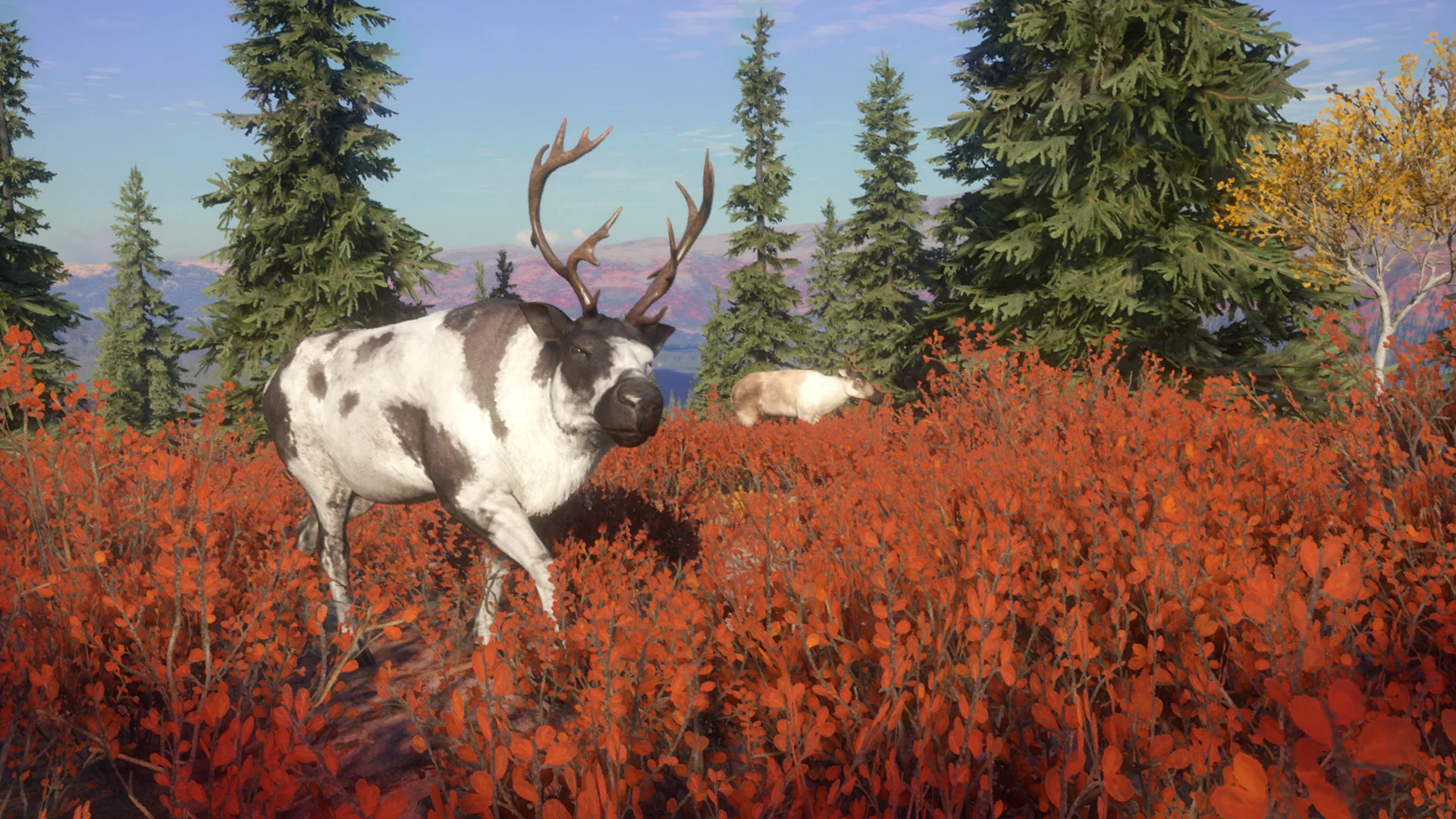theHunter: Call of the Wild™ - Yukon Valley - Image 8