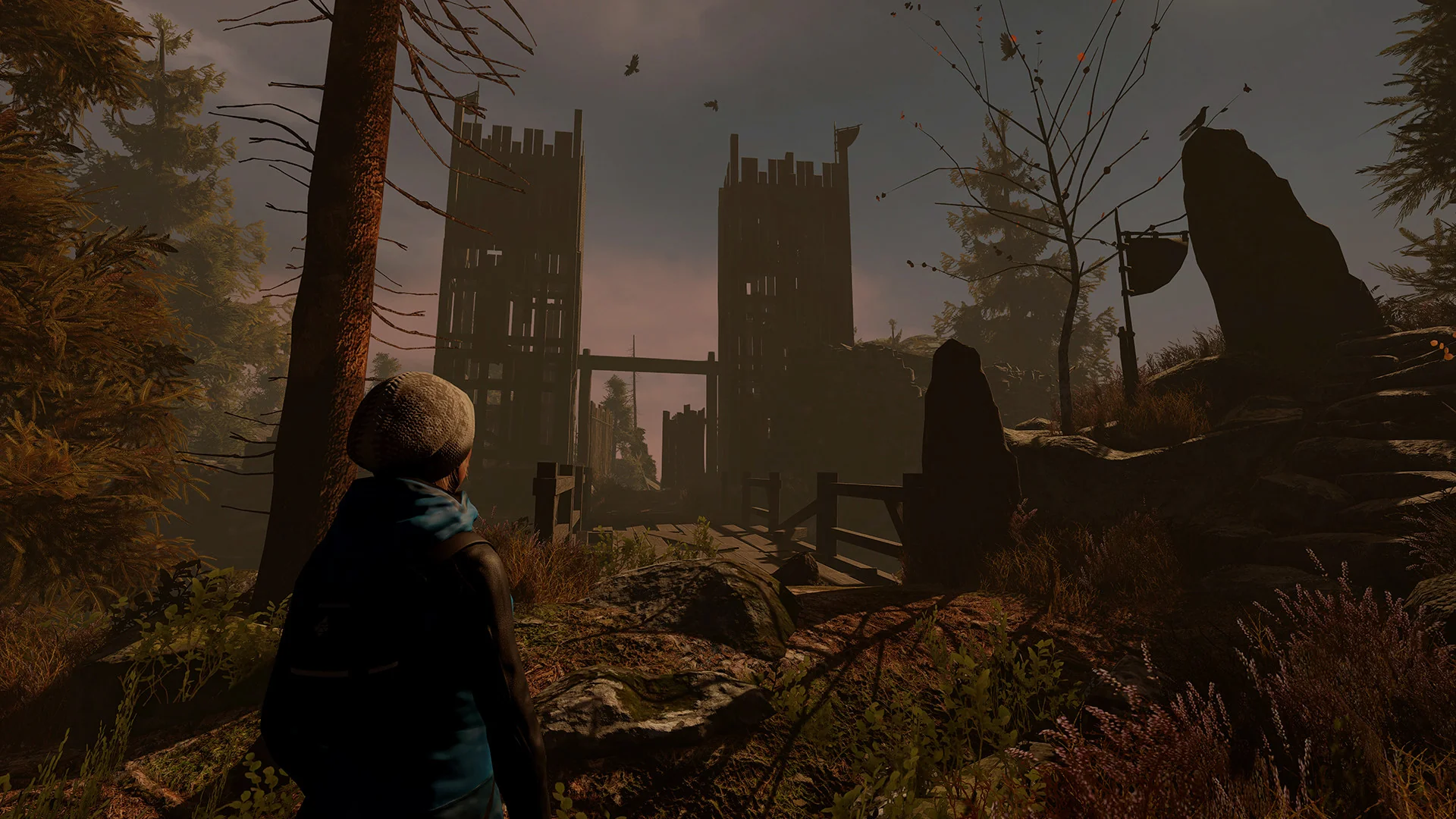 Through the Woods - Image 2