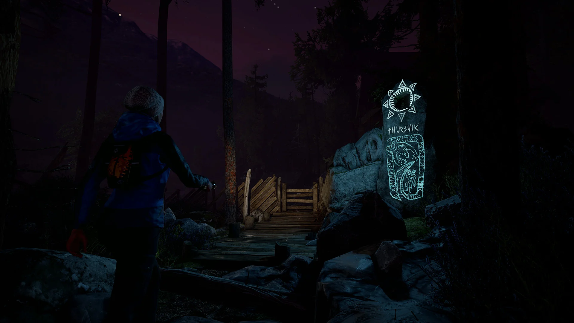 Through the Woods - Image 5