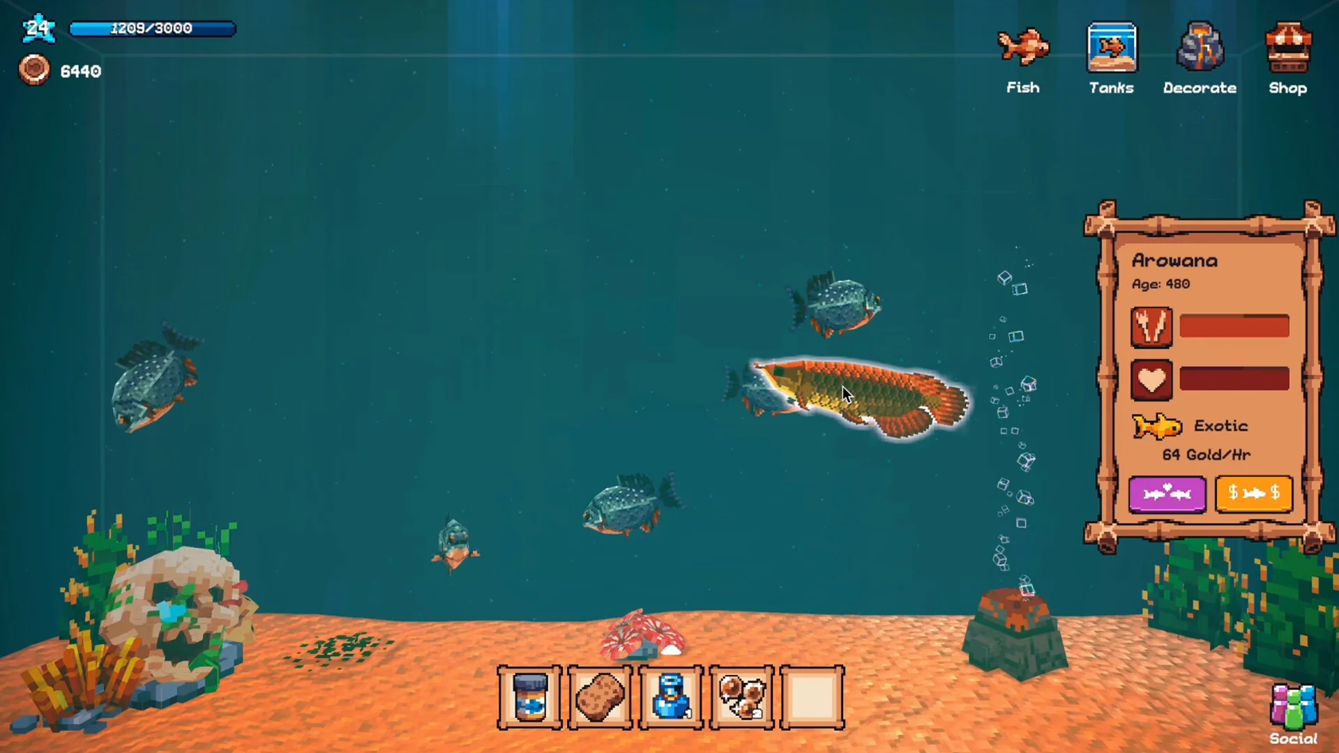 Tiny Aquarium: Social Fishkeeping - Asia - Image 3