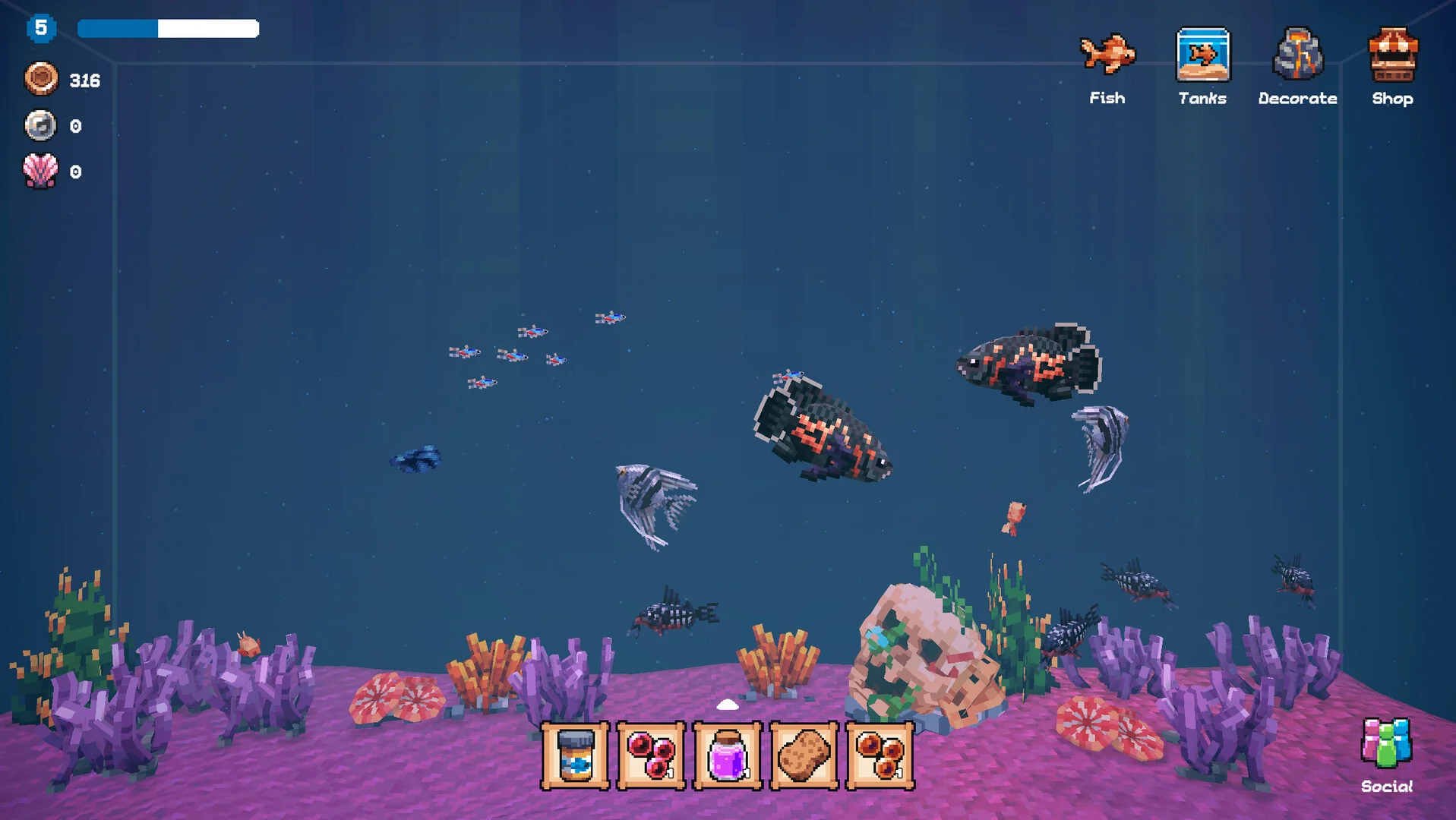 Tiny Aquarium: Social Fishkeeping - Asia - Image 7