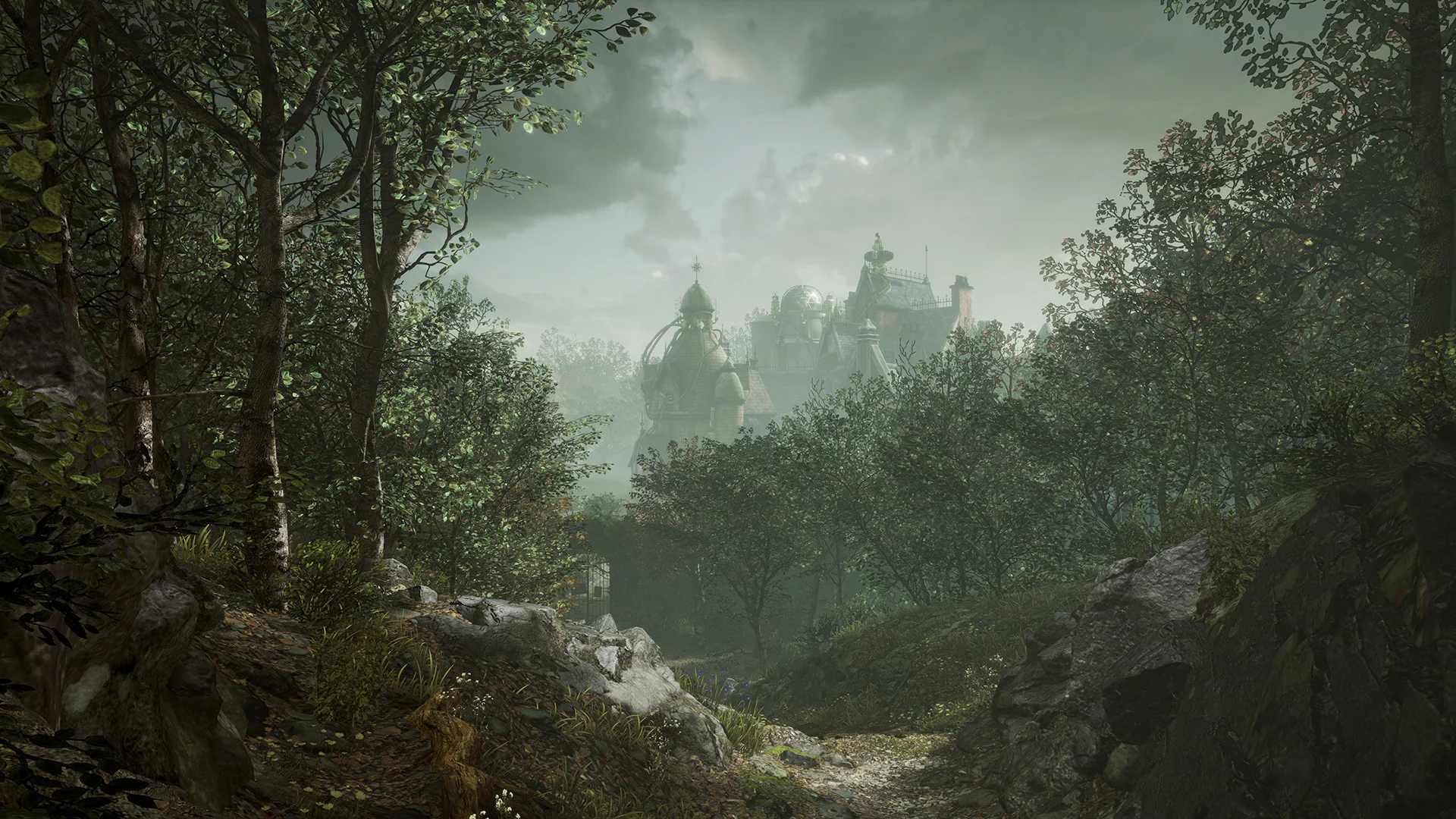 Torn - Image 3