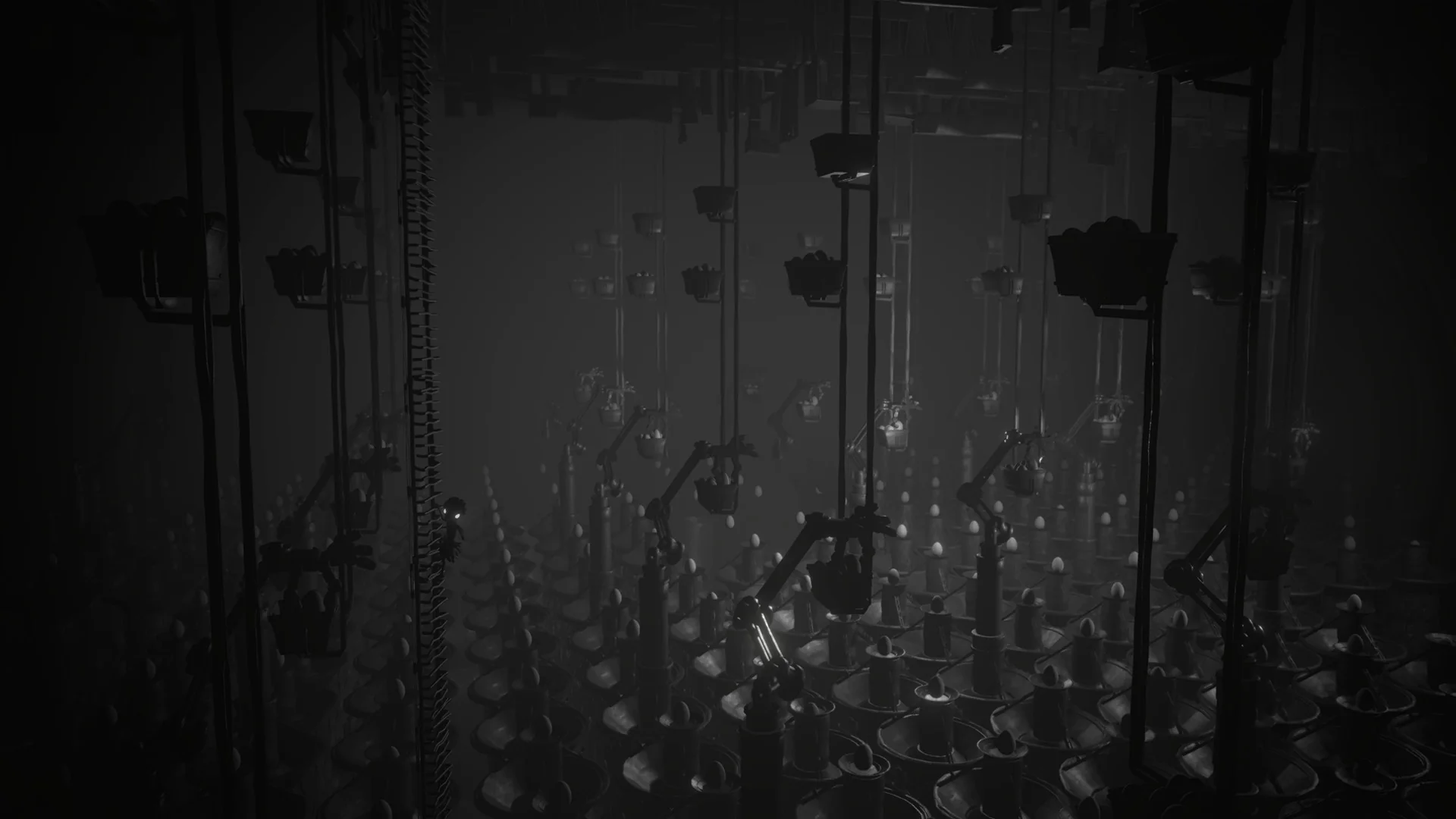 White Shadows - Image 5