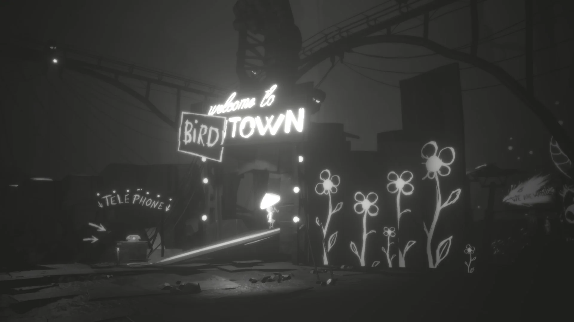White Shadows - Image 9