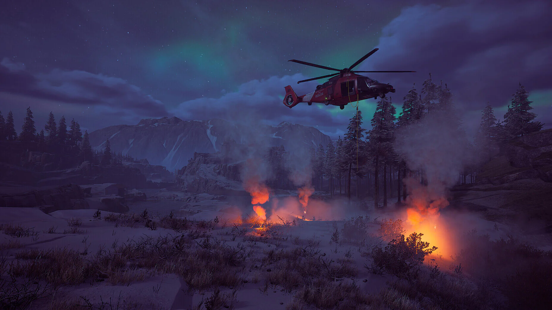 Winter Survival - Image 9